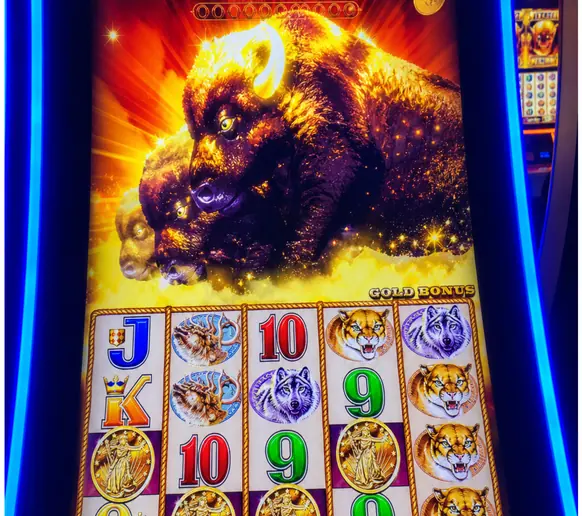 Slot machine win proof photo